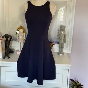 Blue Stretch Skater Dress